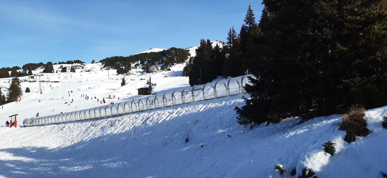 Studio Aux Pieds Des Pistes Roche Beranger Chamrousse Esterno foto